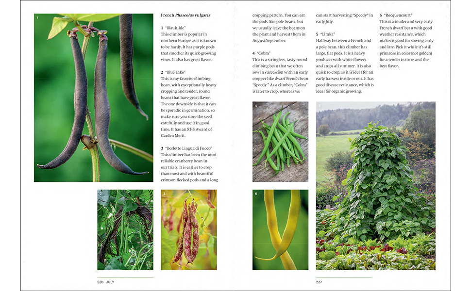 A YEAR IN THE EDIBLE GARDEN - Image 4