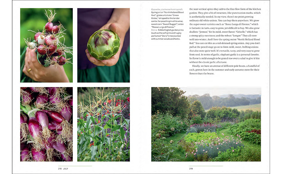 A YEAR IN THE EDIBLE GARDEN - Image 6