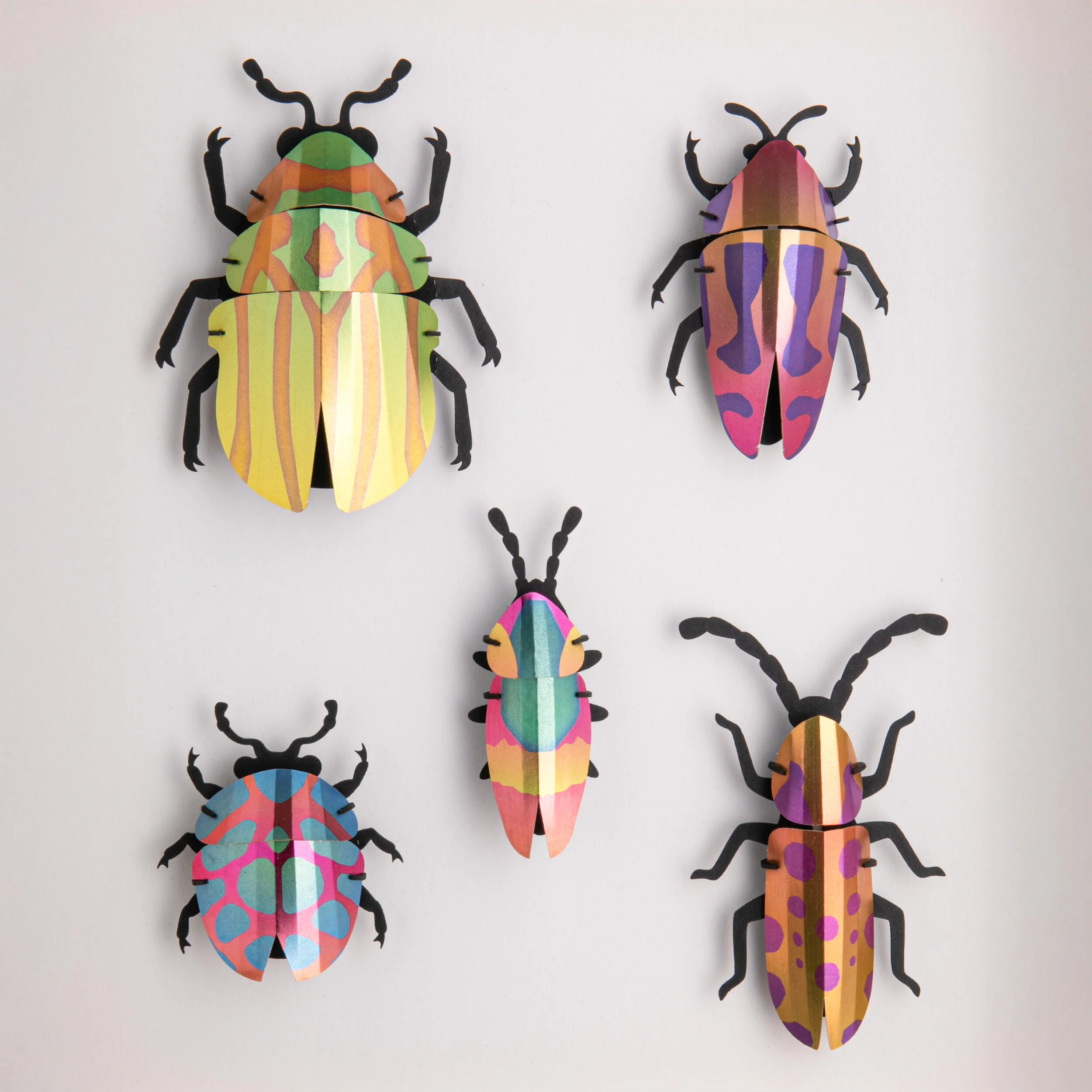 BEETLE 3D MODEL SET - Image 2