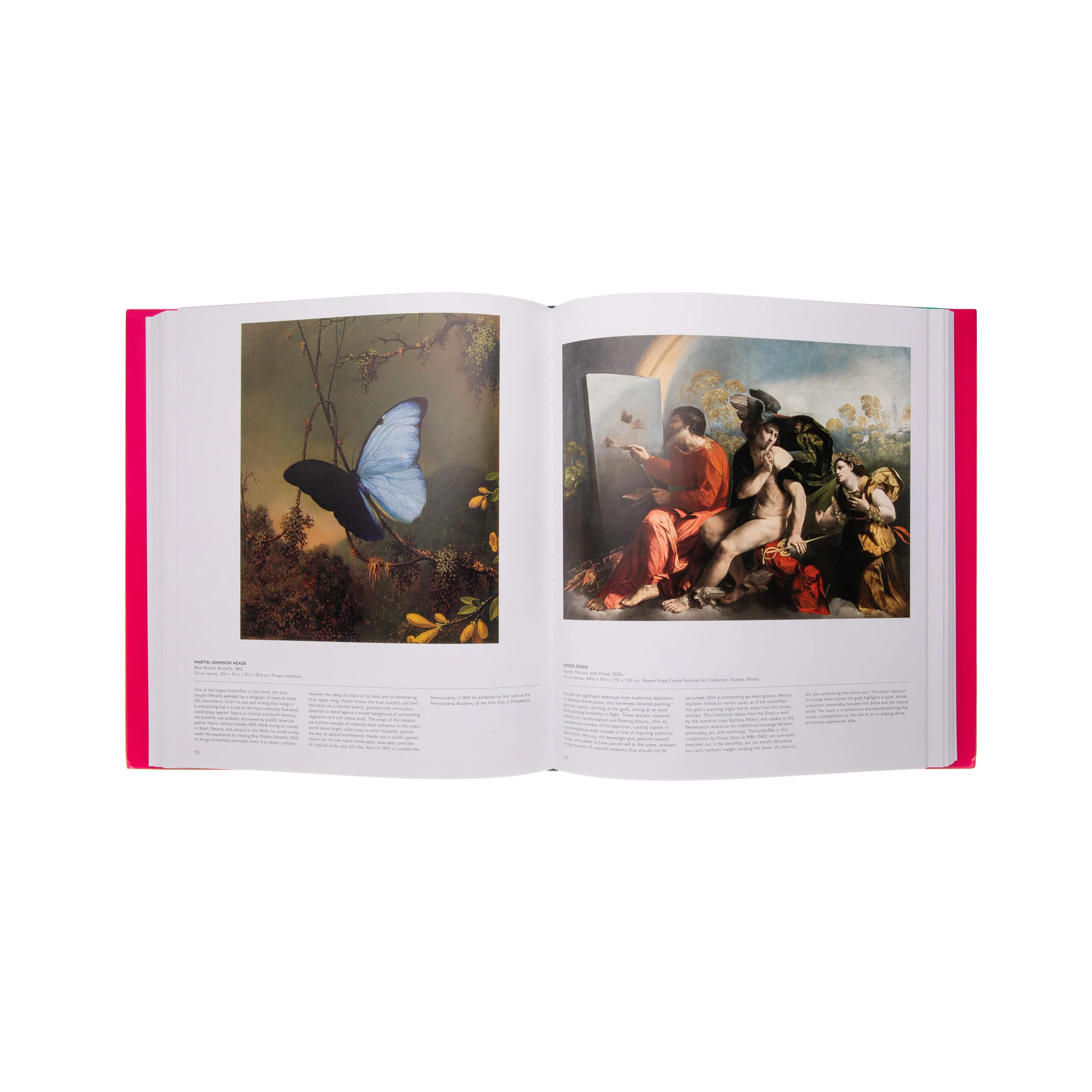 BUTTERFLY: EXPLORING THE WORLD OF LEPIDOPTERA - Image 2