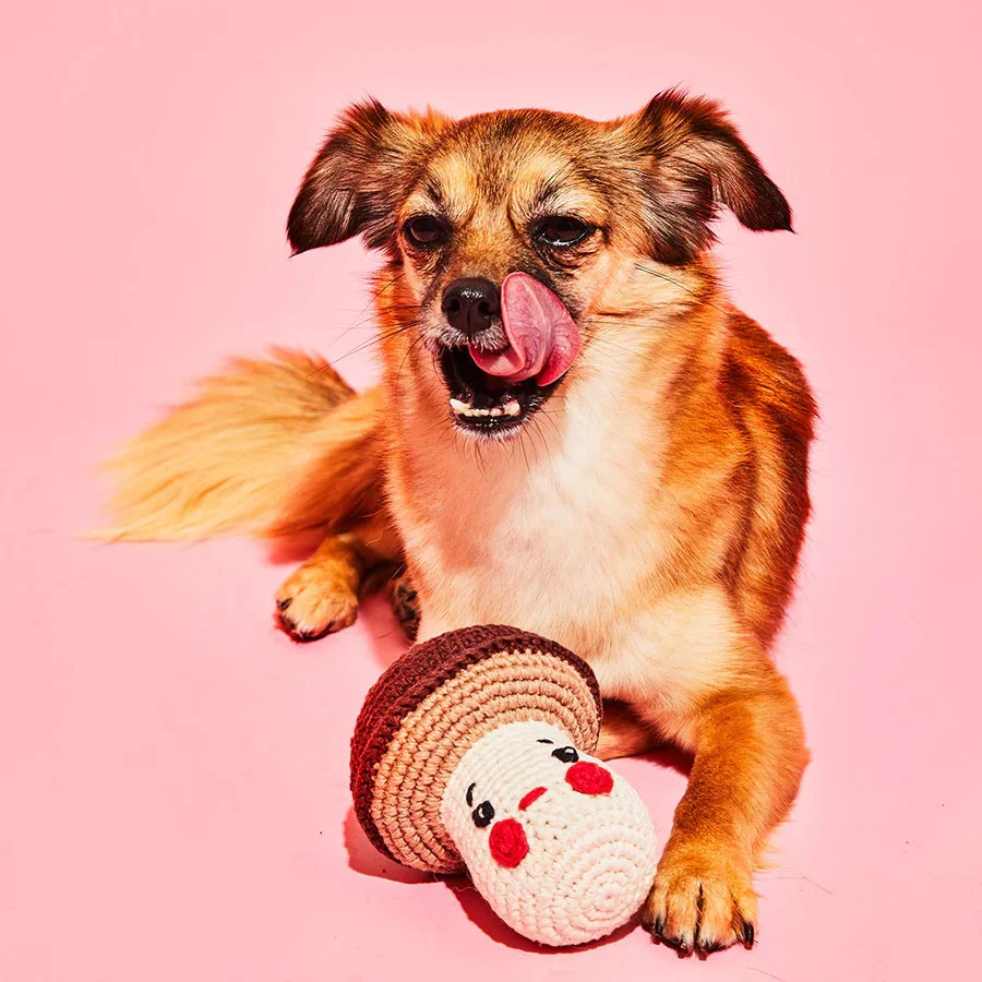 CROCHETED MUSHROOM DOG TOY - Image 2