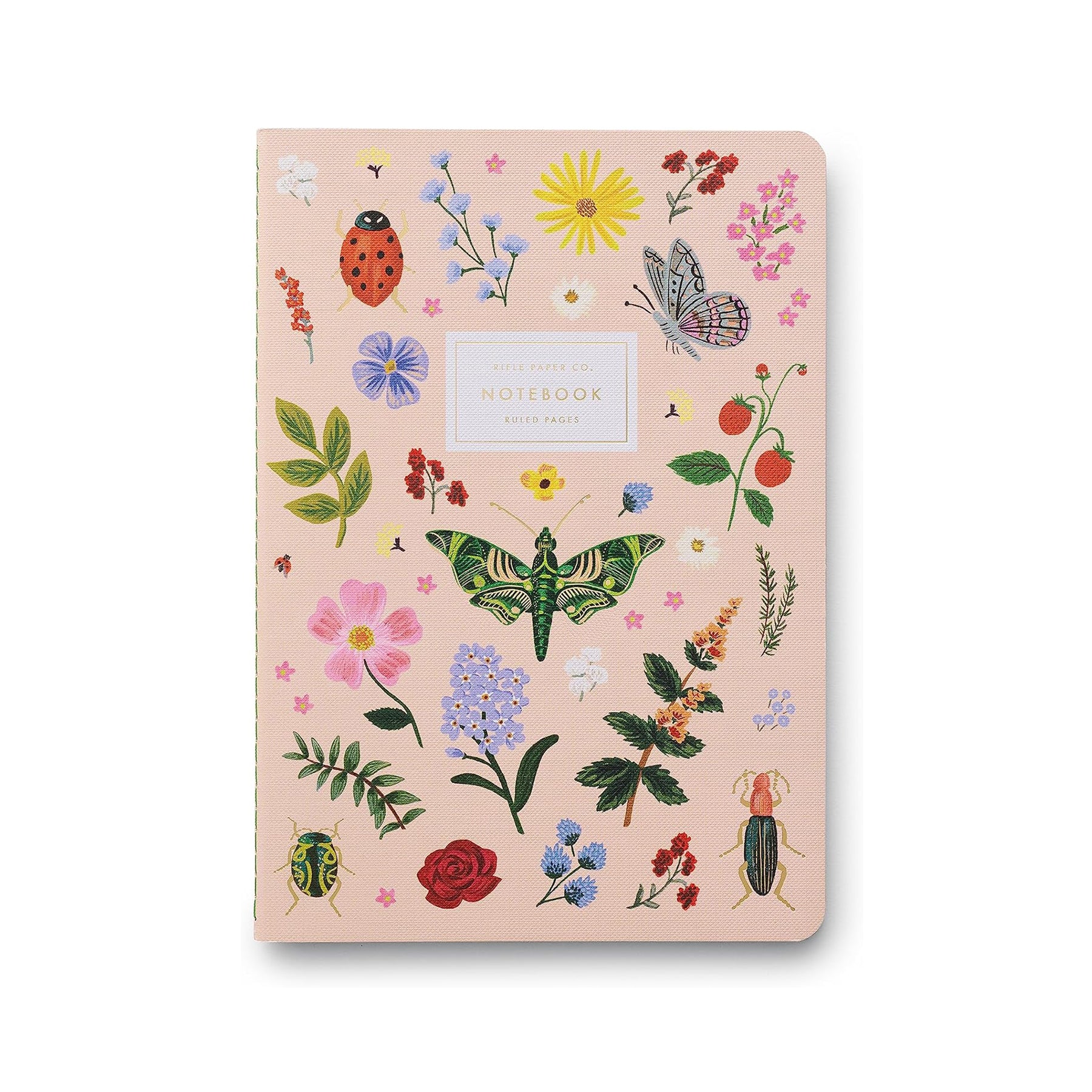 CURIO NOTEBOOK SET - Image 2