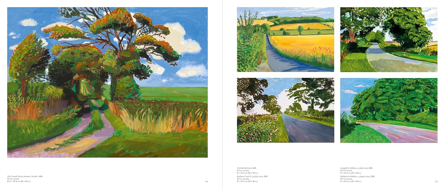 DAVID HOCKNEY - Image 3