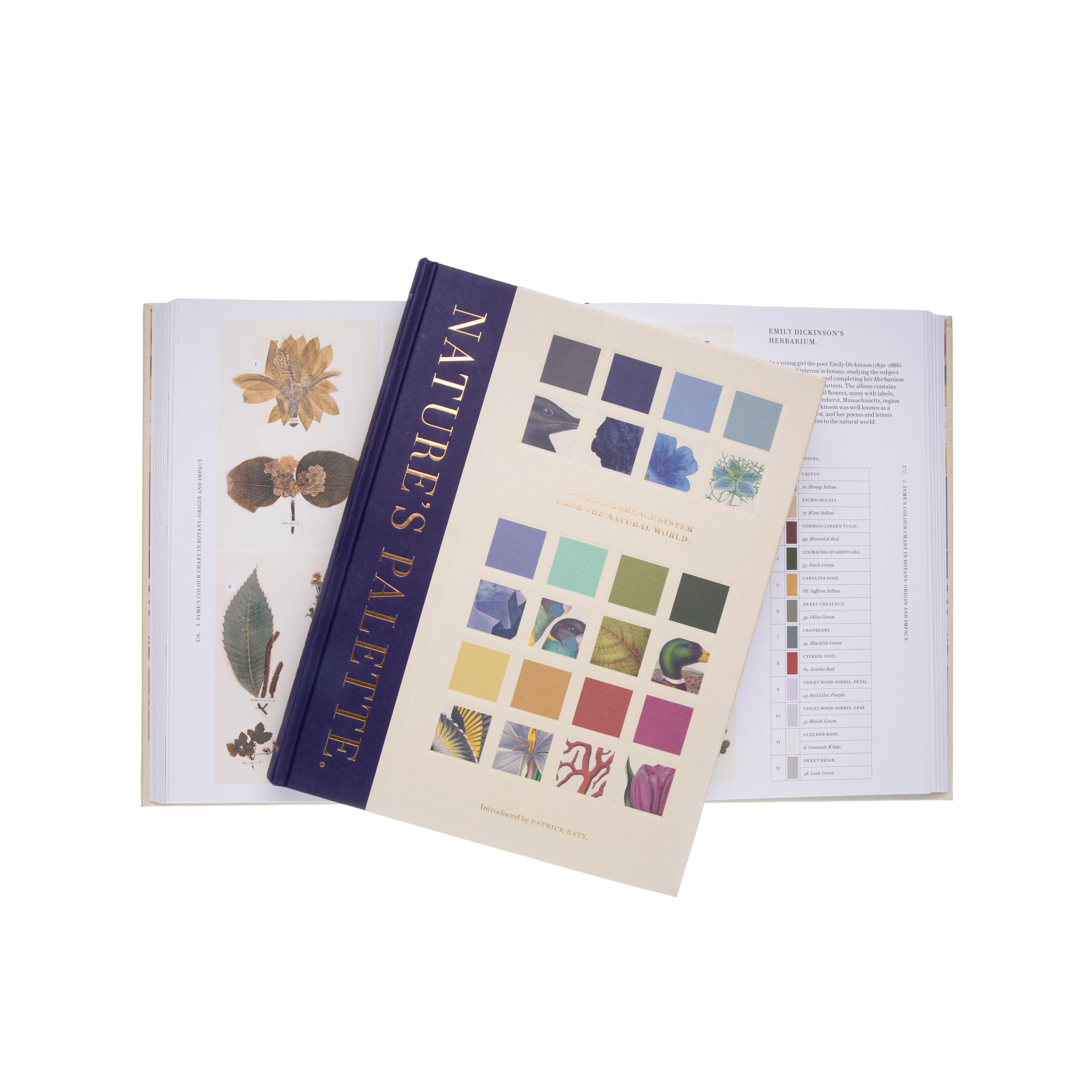 NATURE'S PALETTE: A COLOR REFERENCE SYSTEM FROM THE NATURAL WORLD