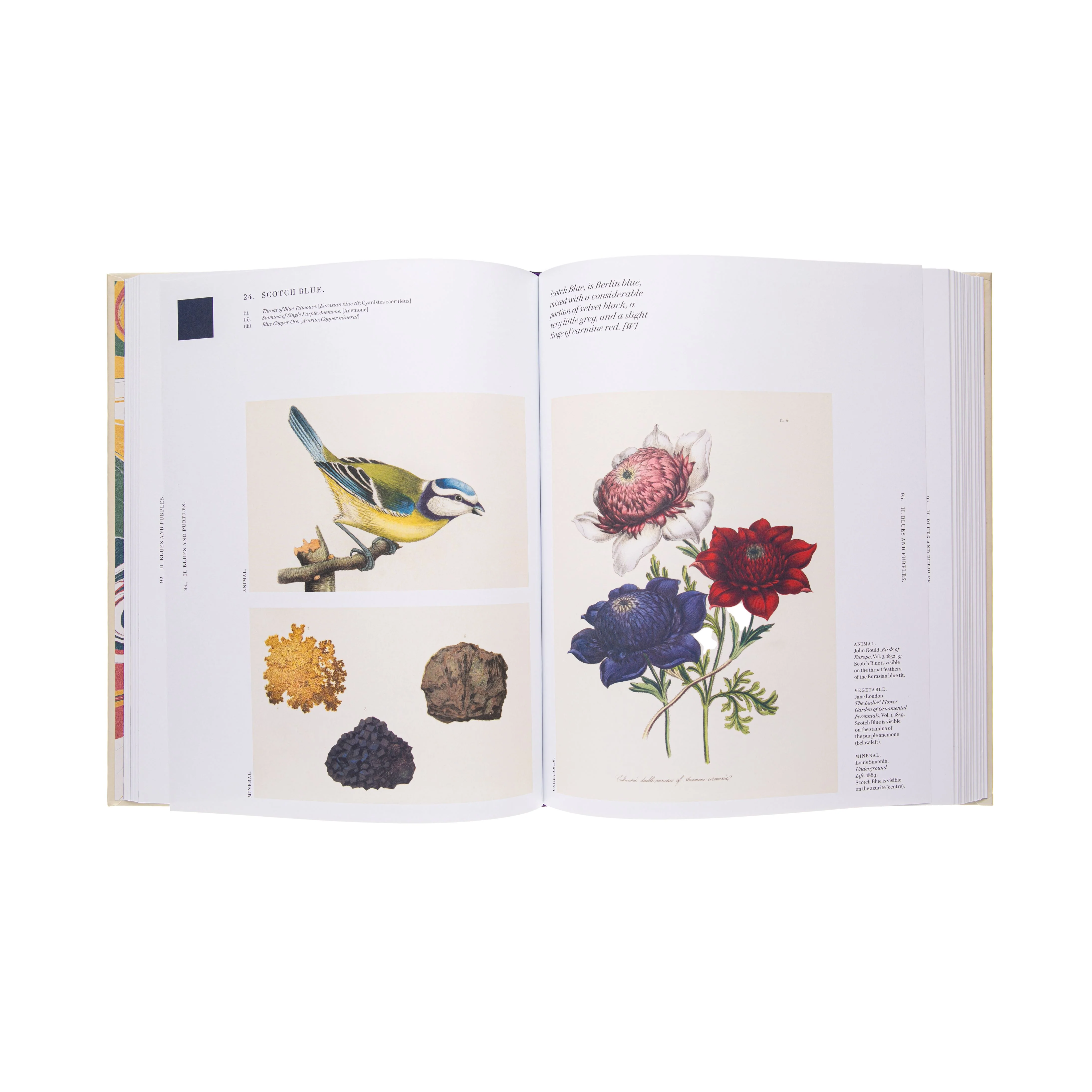 NATURE'S PALETTE: A COLOR REFERENCE SYSTEM FROM THE NATURAL WORLD - Image 2