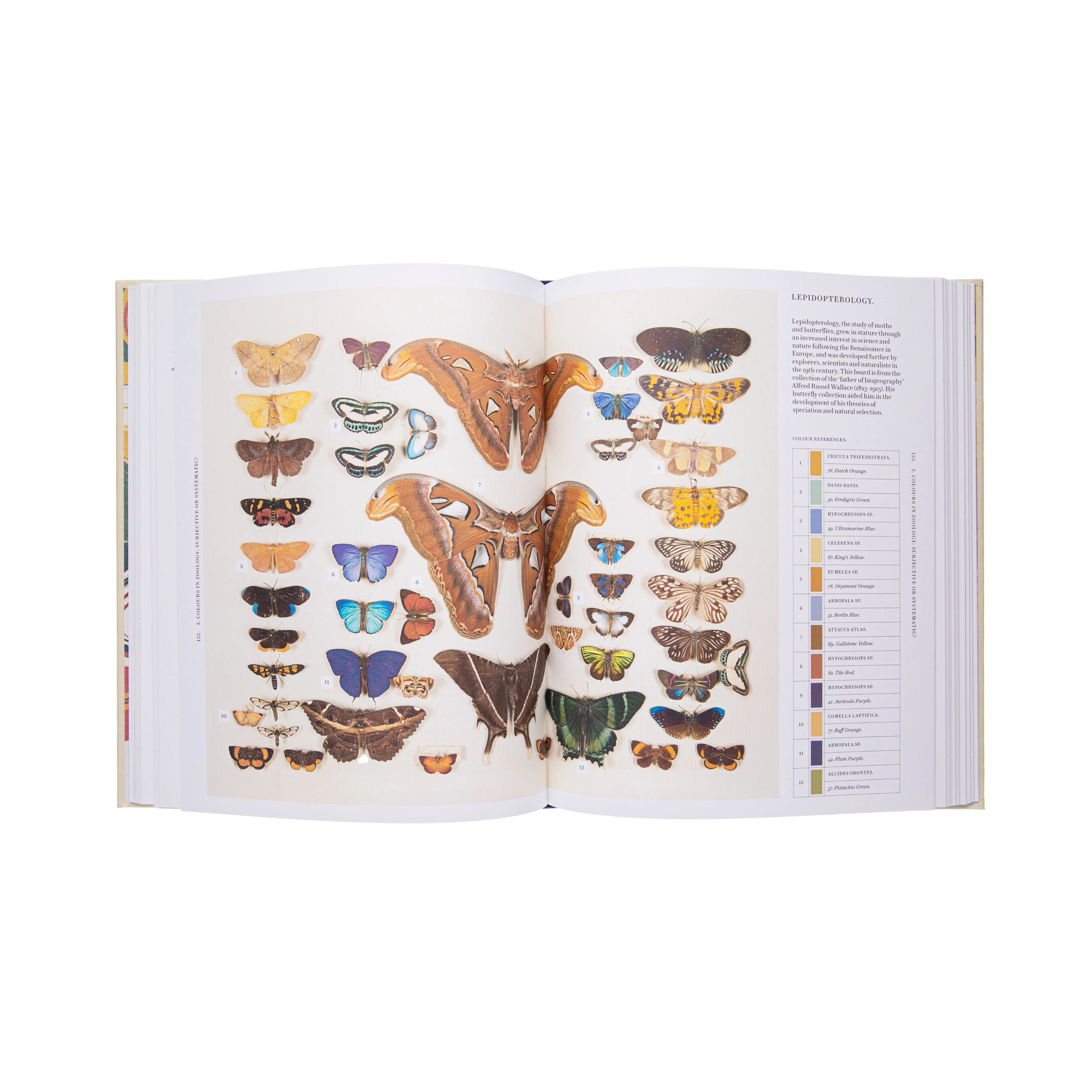 NATURE'S PALETTE: A COLOR REFERENCE SYSTEM FROM THE NATURAL WORLD - Image 3