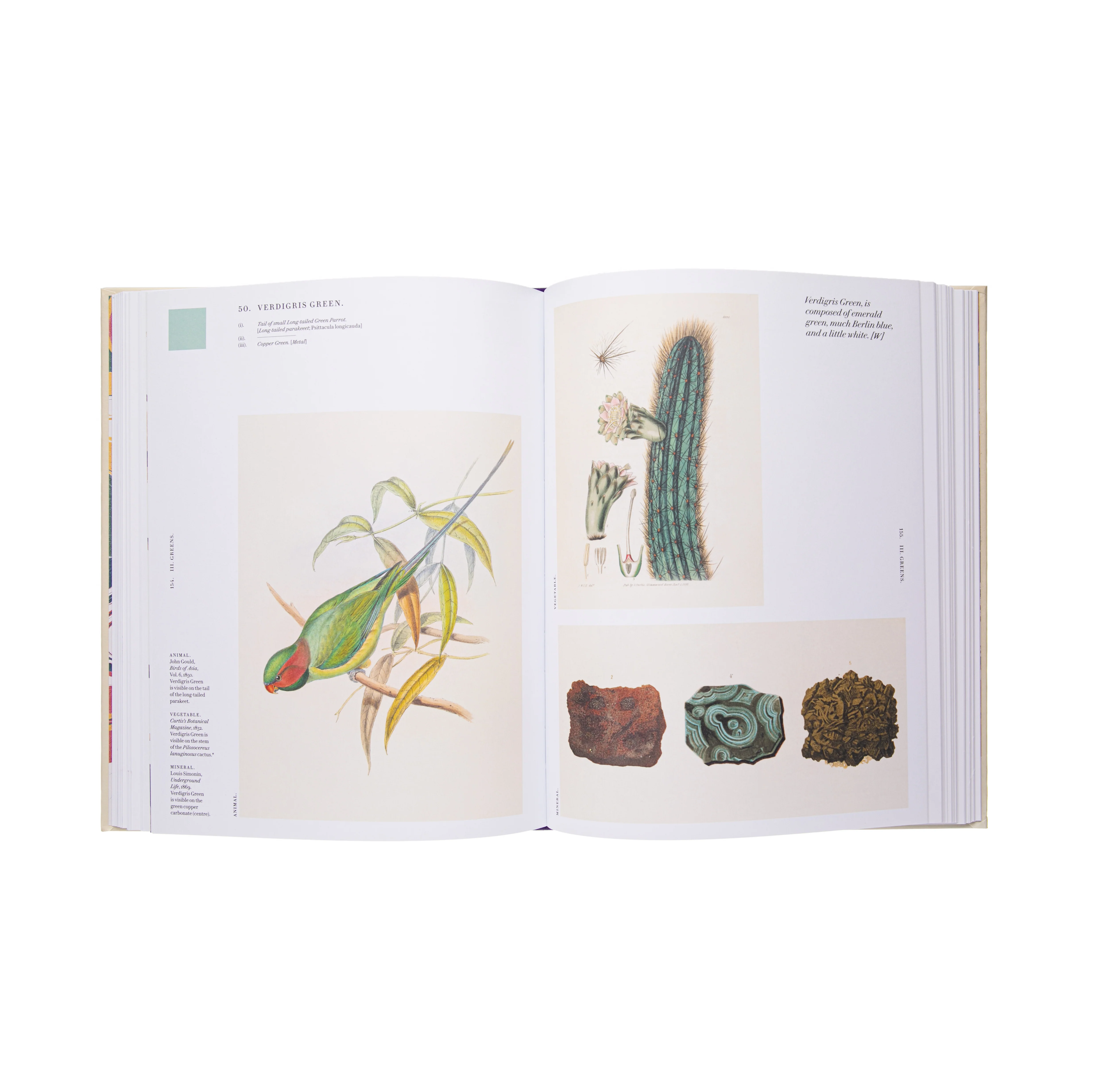 NATURE'S PALETTE: A COLOR REFERENCE SYSTEM FROM THE NATURAL WORLD - Image 4