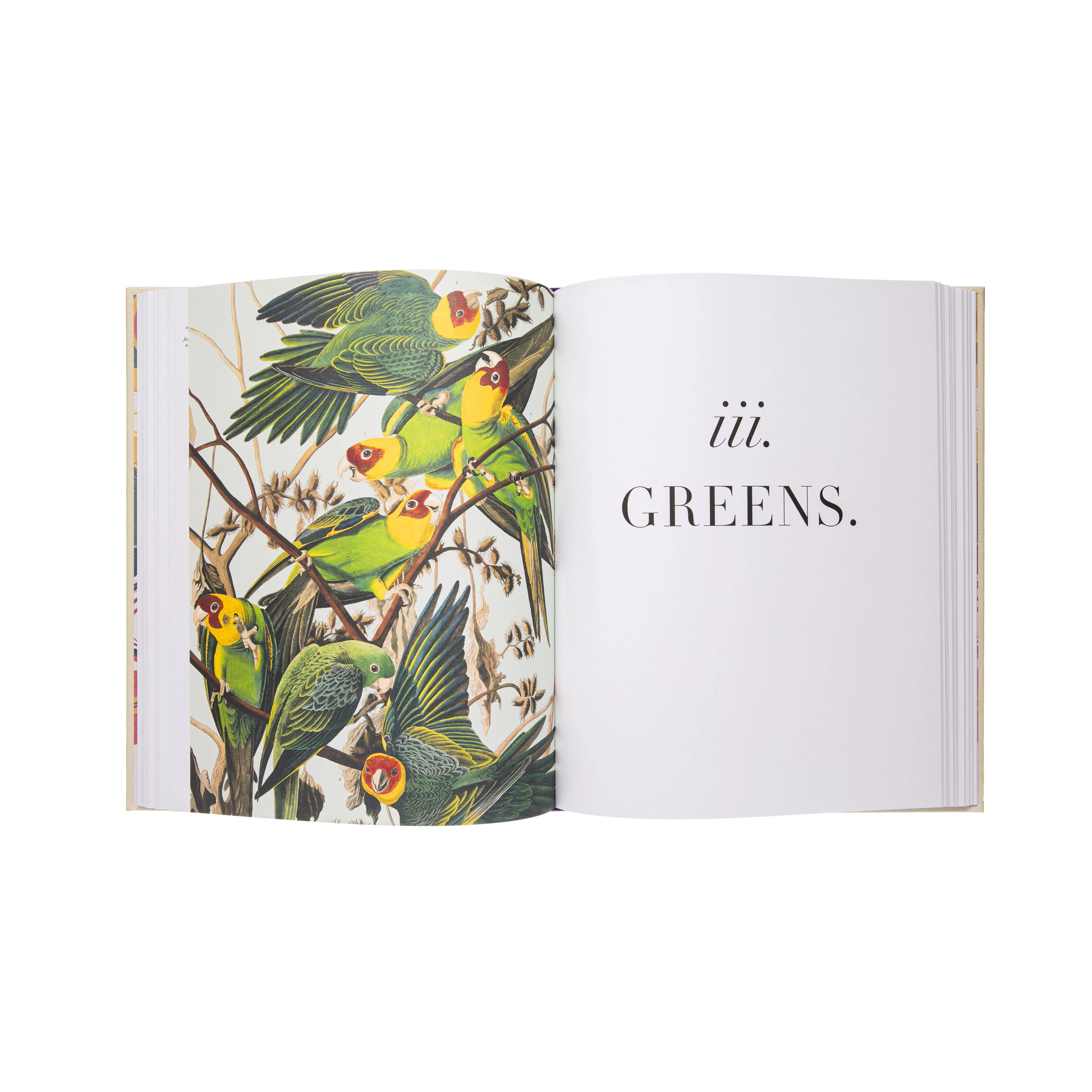 NATURE'S PALETTE: A COLOR REFERENCE SYSTEM FROM THE NATURAL WORLD - Image 5