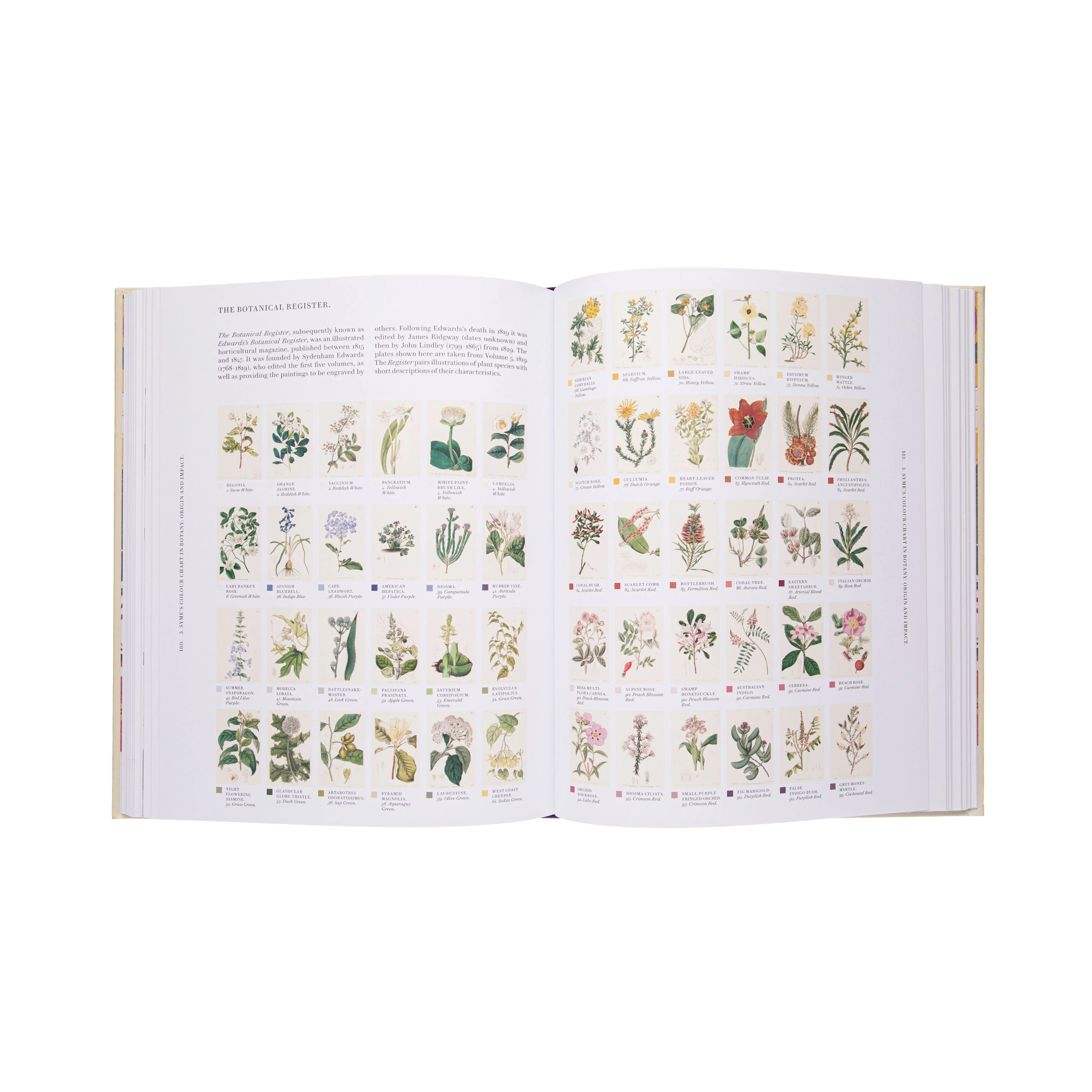 NATURE'S PALETTE: A COLOR REFERENCE SYSTEM FROM THE NATURAL WORLD - Image 6