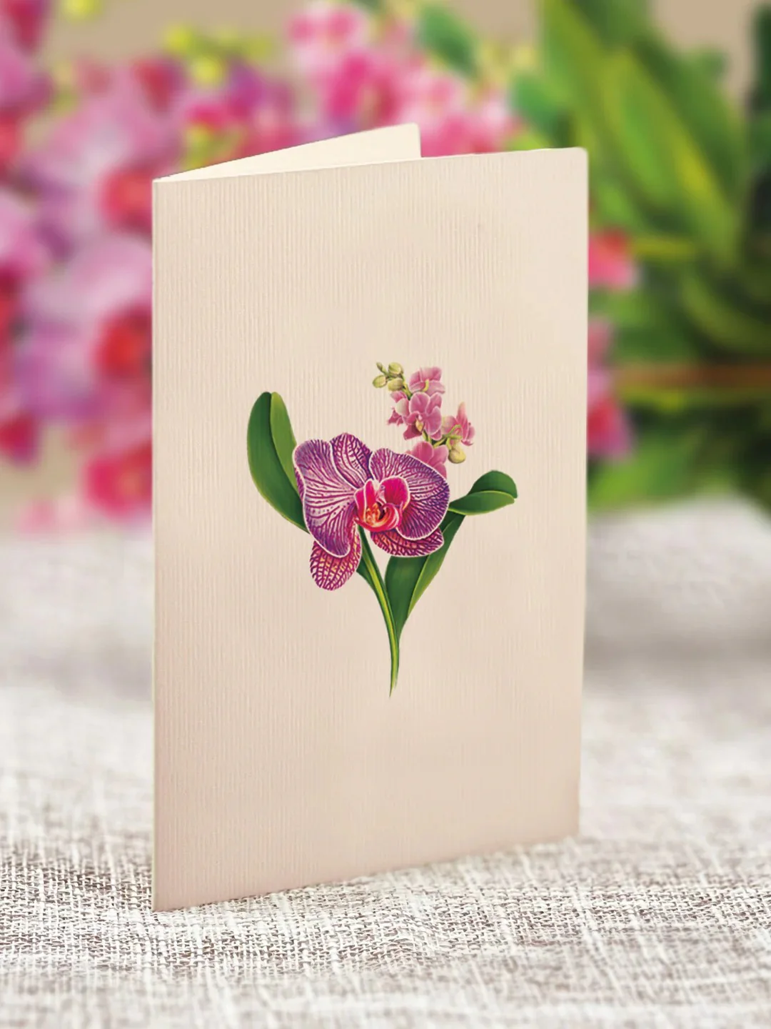 ORCHID OASIS MINI POP-UP BOUQUET - Image 4