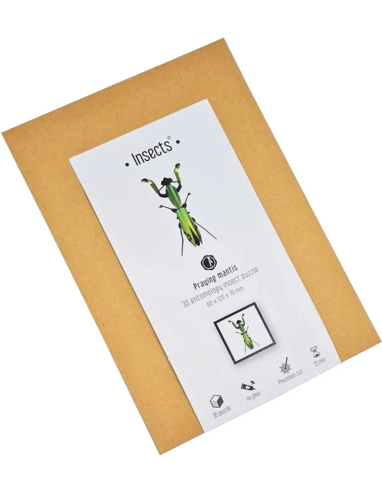 PAPER PRAYING MANTIS KIT - MANGO GREEN - Image 2