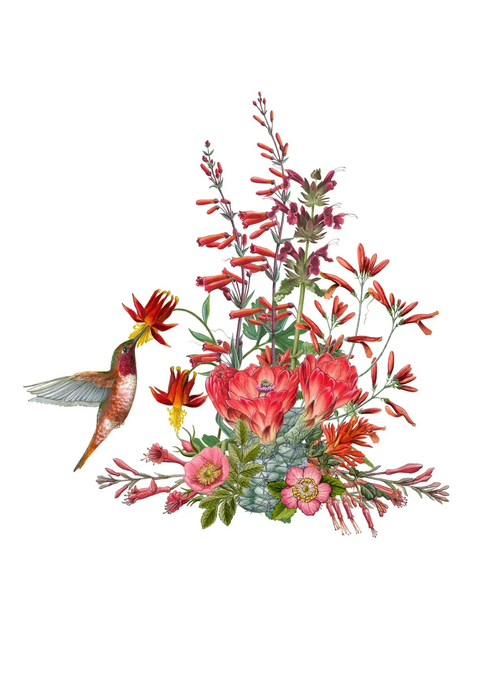 POLLINATORS NOTECARD SET - Image 4