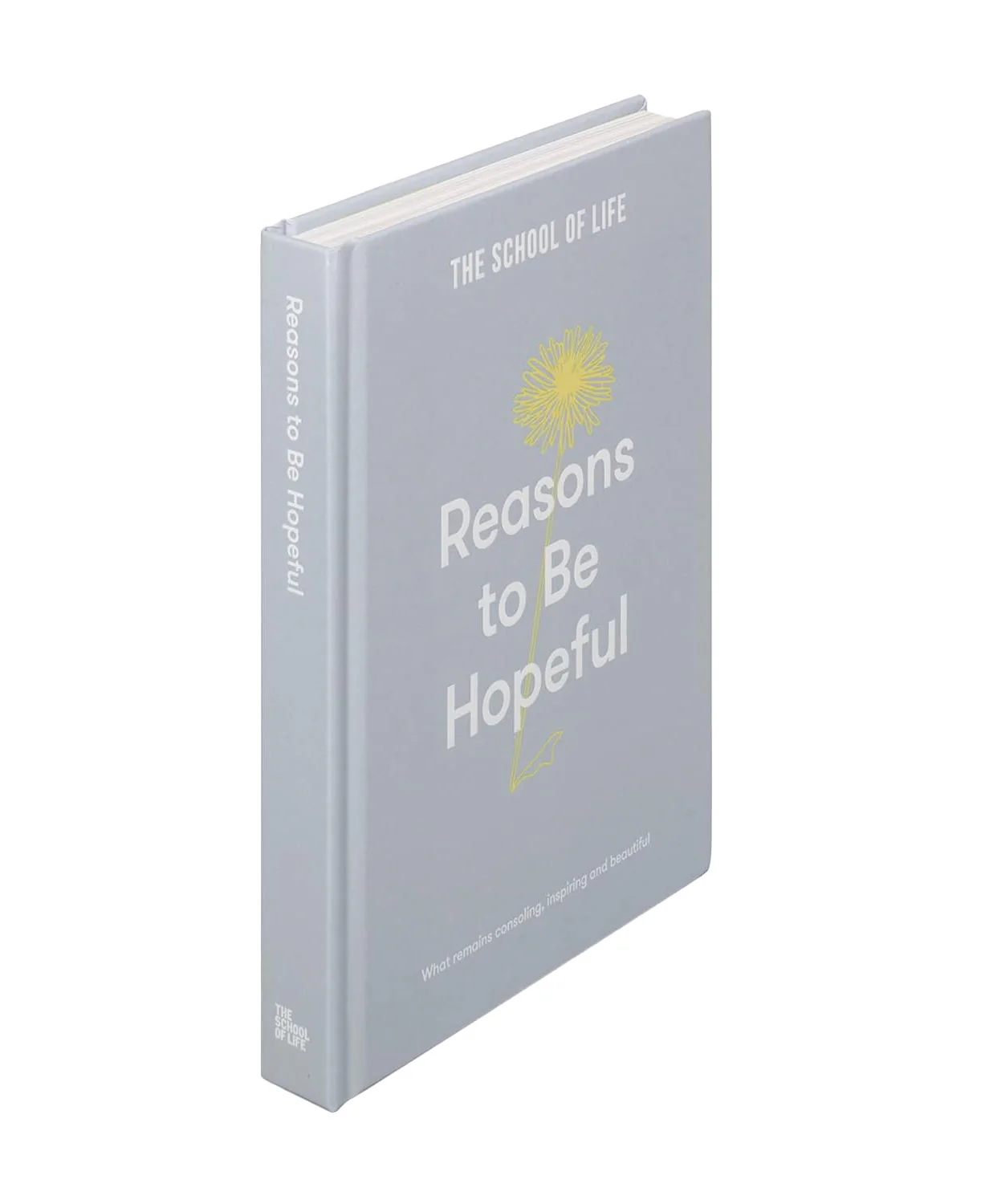 REASONS TO BE HOPEFUL - Image 3