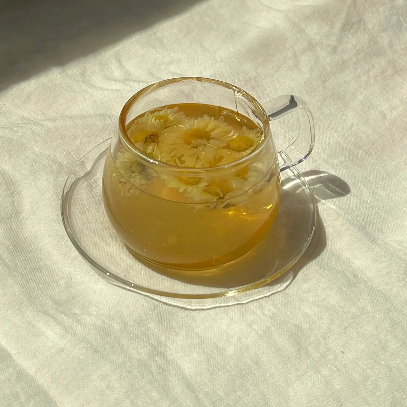 WILD CHRYSANTHEMUM FLOWER TEA - Image 3