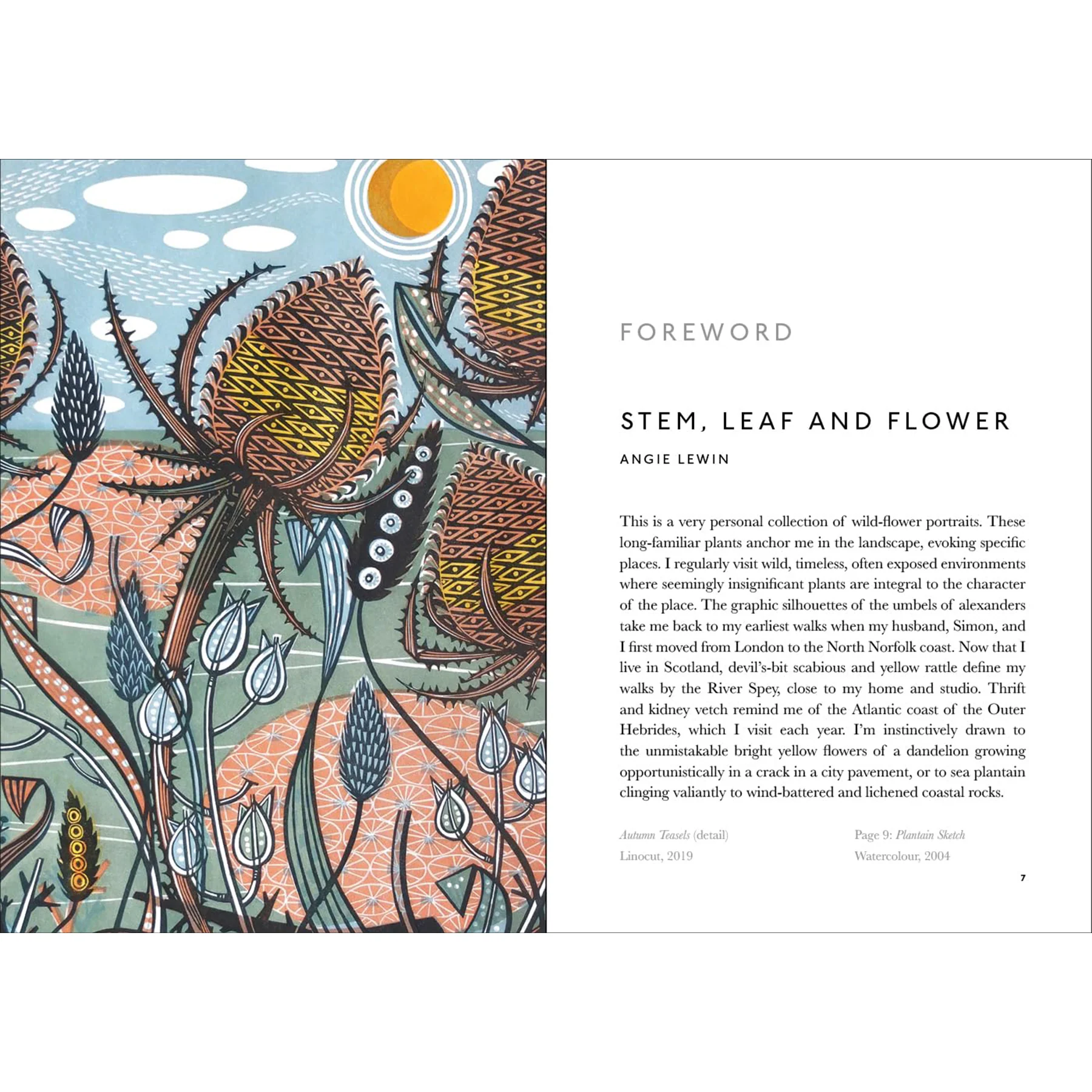 THE BOOK OF WILD FLOWERS - Image 2