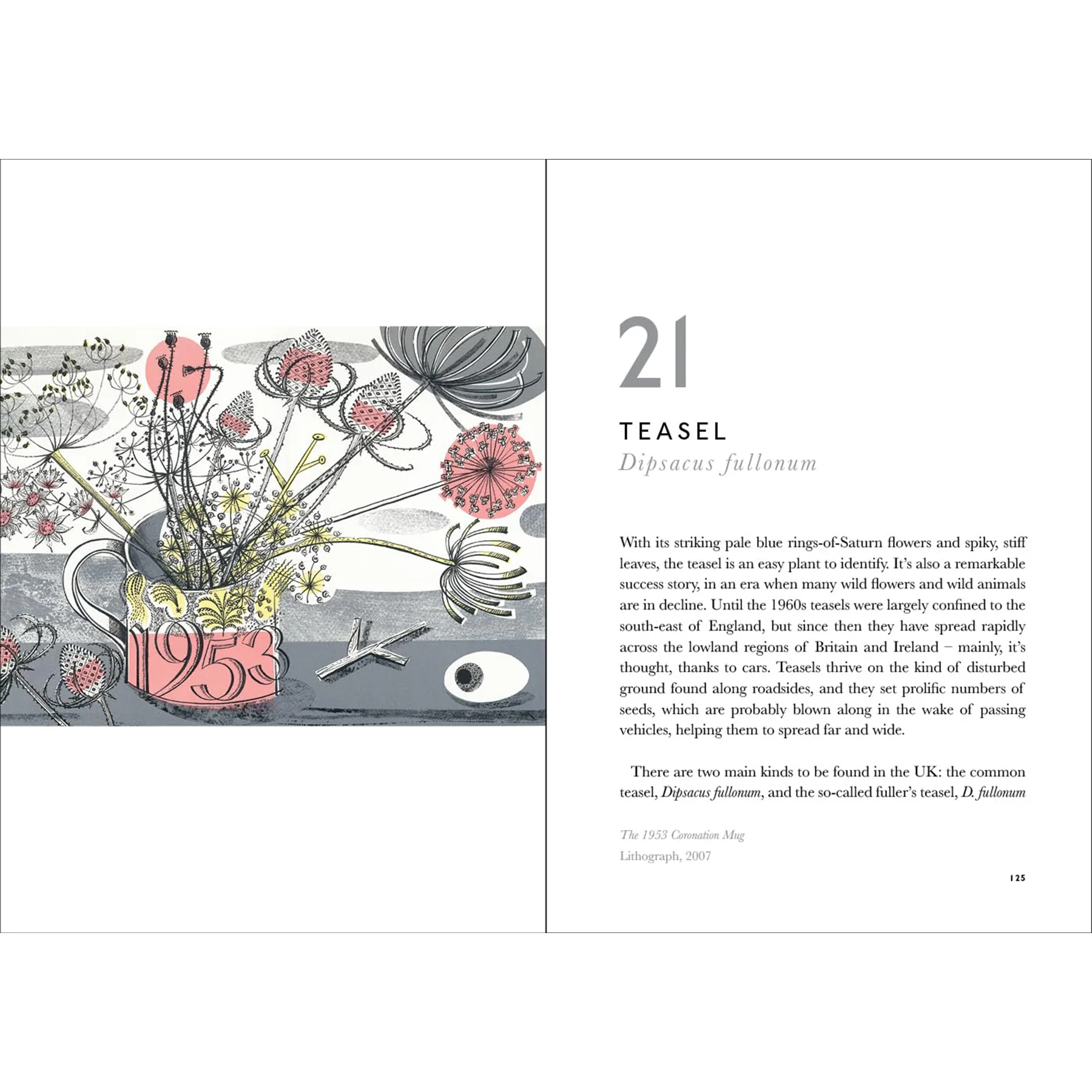 THE BOOK OF WILD FLOWERS - Image 4