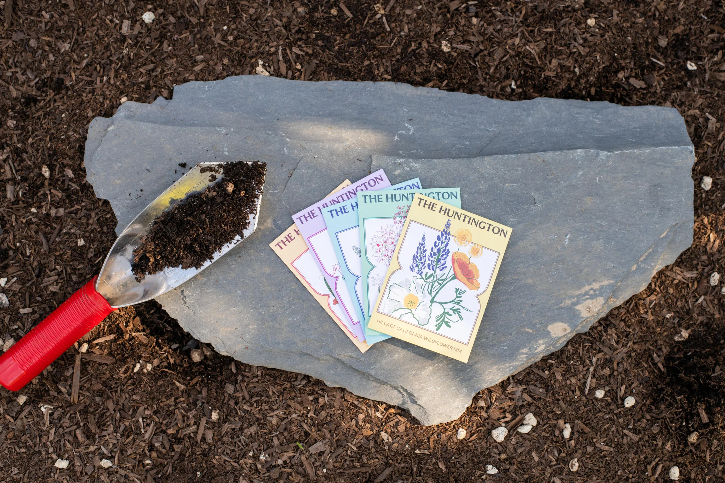 THE HUNTINGTON WHITE SAGE SEED PACKET - Image 6