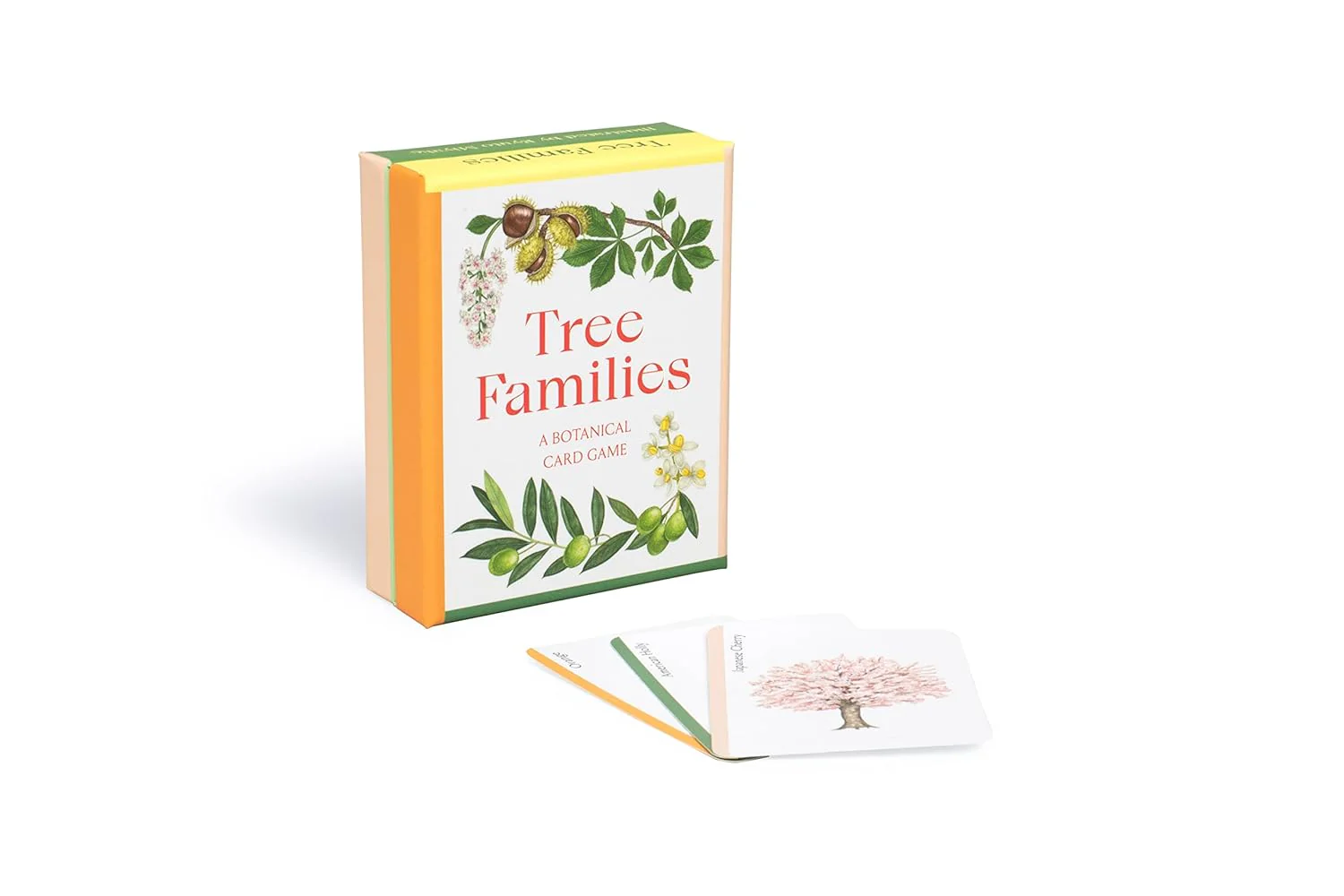 TREE FAMILIES: A CARD GAME FOR TREE LOVERS - Image 3