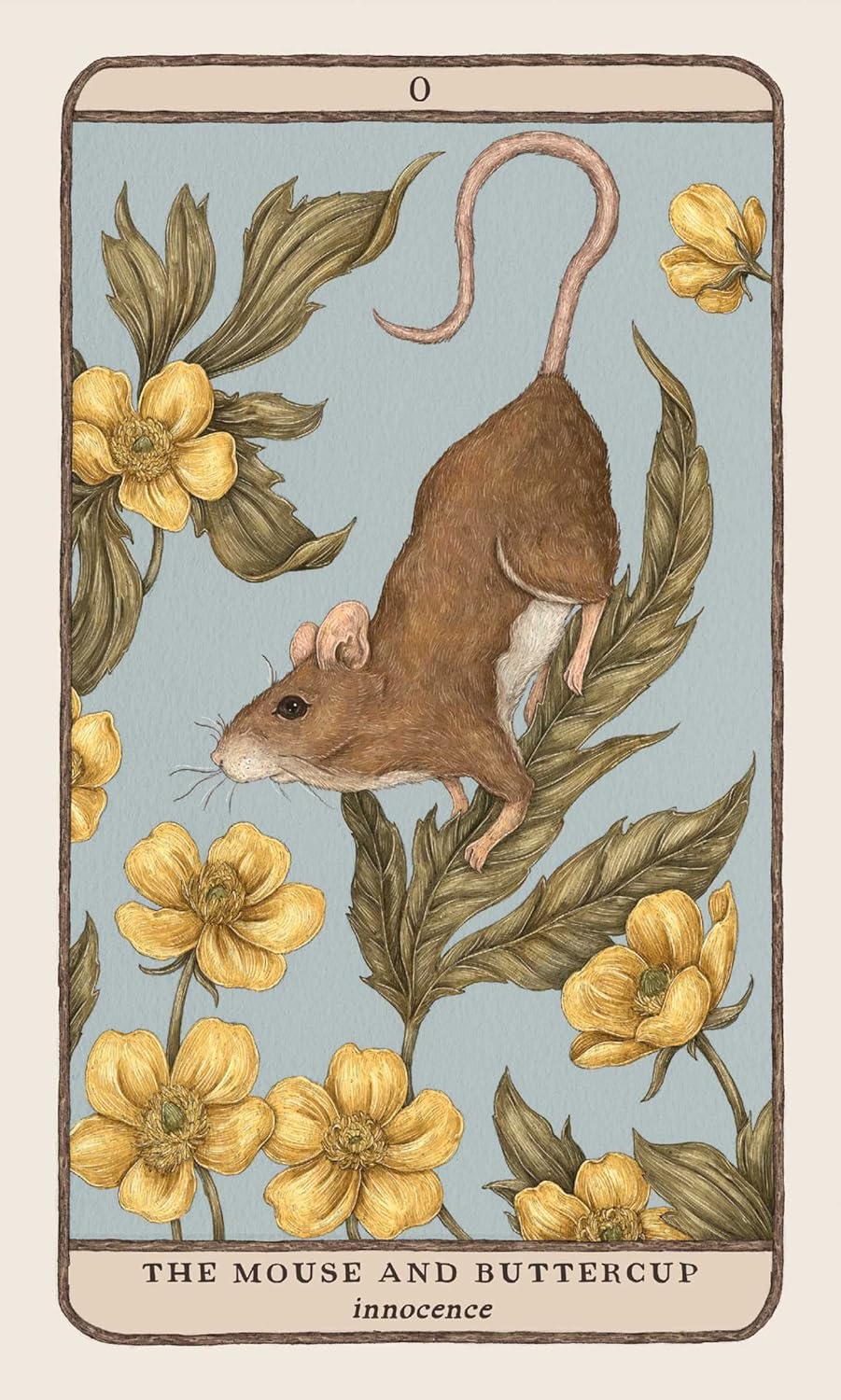 WOODLAND WARDENS ORACLE DECK - Image 2